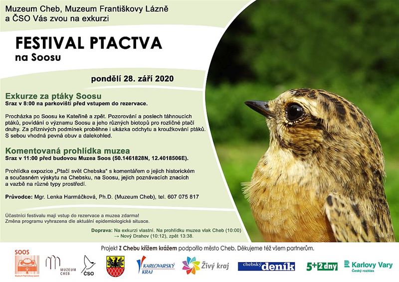 Festiva ptactva